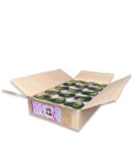 Консервы для котят Ем Без Проблем Мясное ассорти, 250 г упаковка (15 шт)